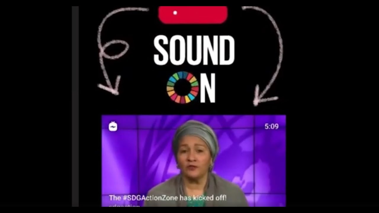 SDG Action Zone 2020 Highlights