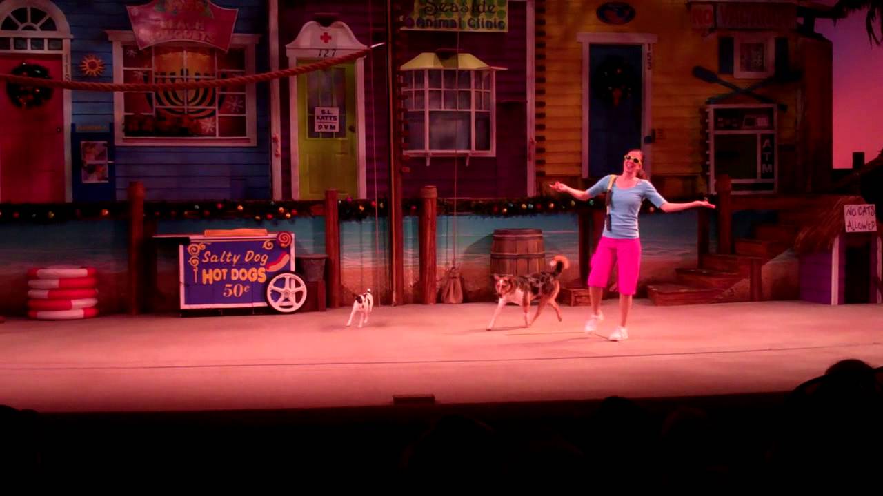 SeaWorld Pets Ahoy YouTube
