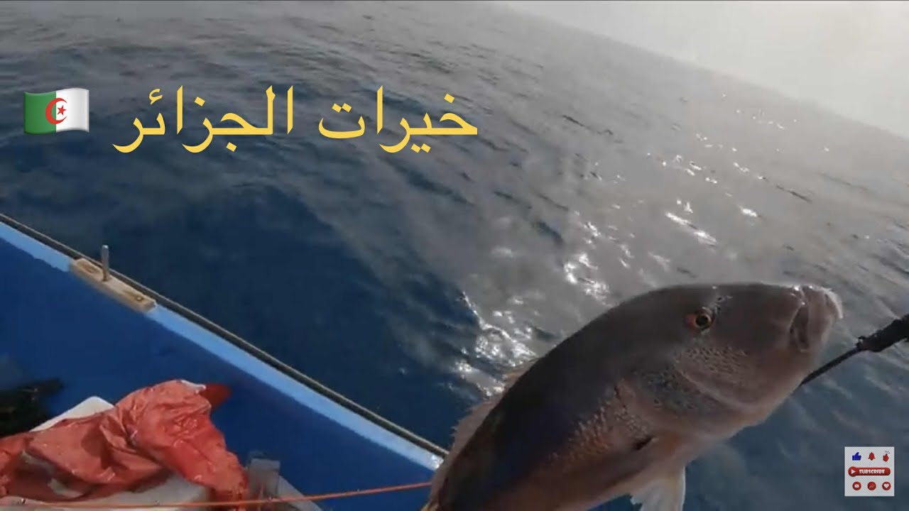 عيش معانا نهار كامل في البحر 20 ماي 2025 spend a whole day with us in the sea