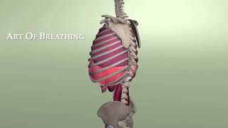 Jessica Wolfs Art Of Breathing Demo