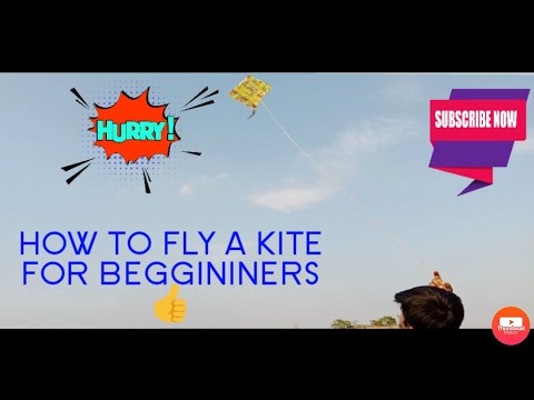 HOW TO FLY A KITE 😎| FOR BEGINNERS | STEP BY STEP 👆 - YouTube