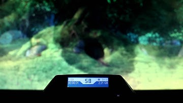 Logitech G13/G15 keyboard LCD display with Mirillis Action! - Preview