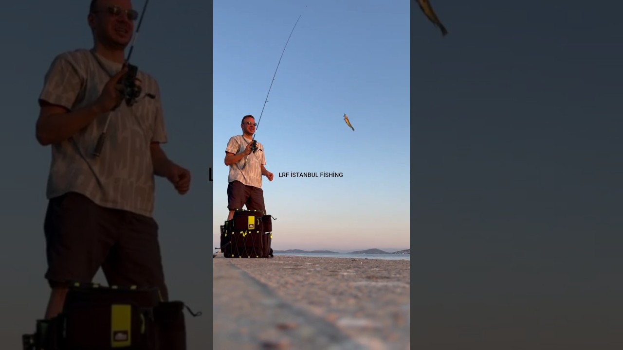 İSTANBUL BALIK AVI | LRF AVI 