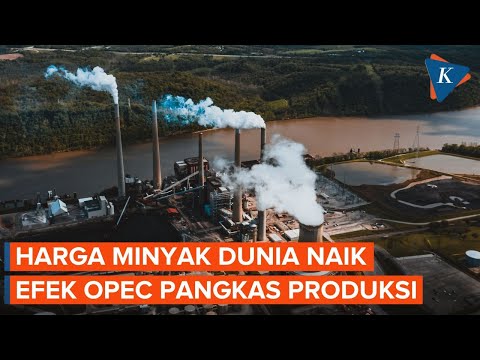 OPEC Bakal Batasi Pasokan, Harga Minyak Dunia Naik
