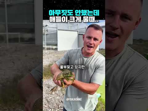 아무짓도 안했는데 왜 크게 우냐고... thumbnail