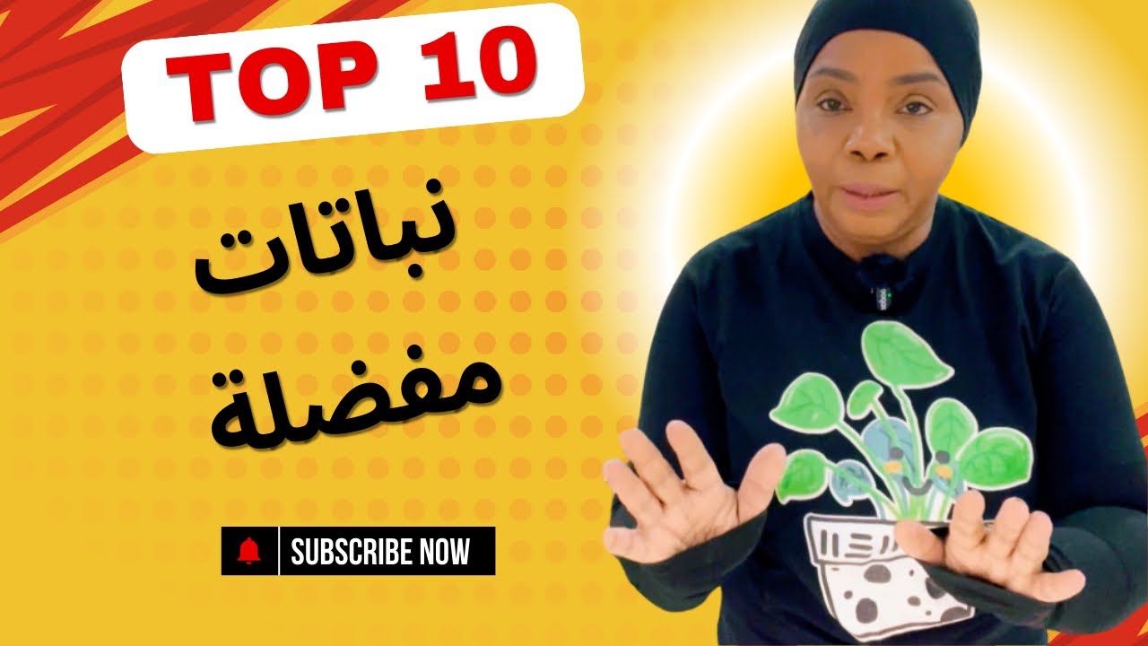 أفضل 10 نباتات داخلية