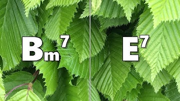 Bm7 to E7 Backing Track