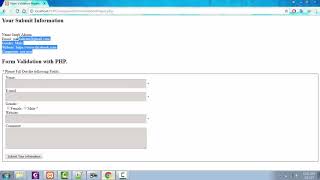 7. Form Validation Pro - 5. Form Validation Project Part 5 Working with CSS
