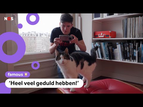 Video: Hoe De Ui Te Voeren Zodat Deze Groot Is? Hoe Voed Je Een Raap Voor Een Groot Hoofd Met Folkremedies? Topdressing Met Meststoffen In Het Open Veld