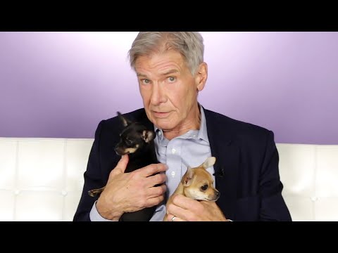 Harrison