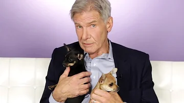 How does Harrison Ford feel about Star Wars?