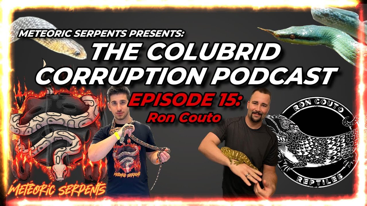 Episode 15: Ron Couto Reptiles - The Colubrid Corruption Podcast