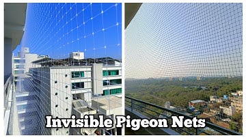 Comprehensive #Pigeon Control Services by #YPL Safety Nets