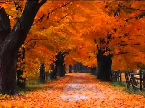 Jose Luis Perales - Cancion de otoño