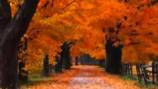 Jose Luis Perales - Cancion de otoño