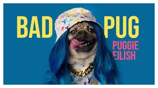 I'm The Bad Pug (Duh) - Billie Eilish