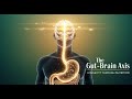 The Gut–Brain Axis: Longevity Through Nutrition