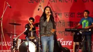 Miniatura de vídeo de "Tumi Ashbey Bole (তুমি আসবে বলে) || Somlata's Best Live Concert"