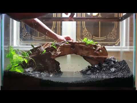 Best Aquarium Setup Ever Must Watch