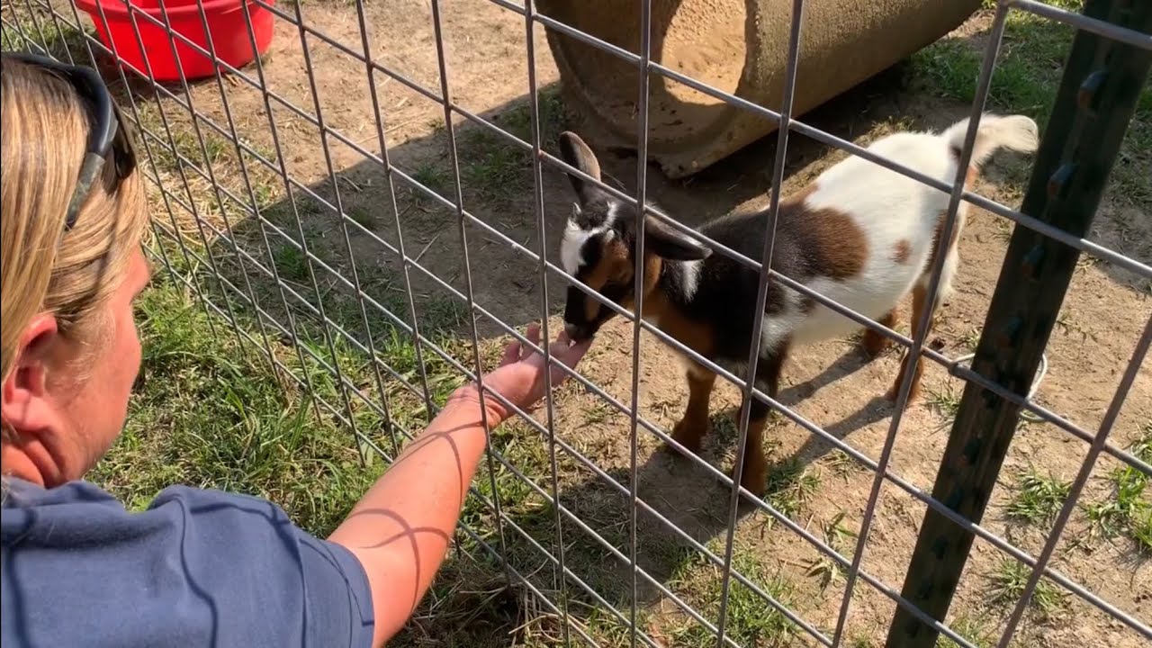 Visiting REAP WHAT YOU SEAUX