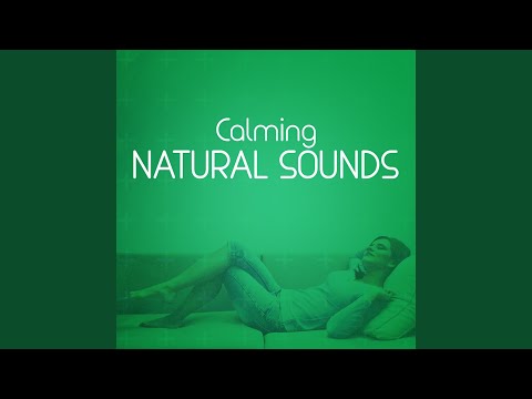 Natural Sounds - Quiet Meadow