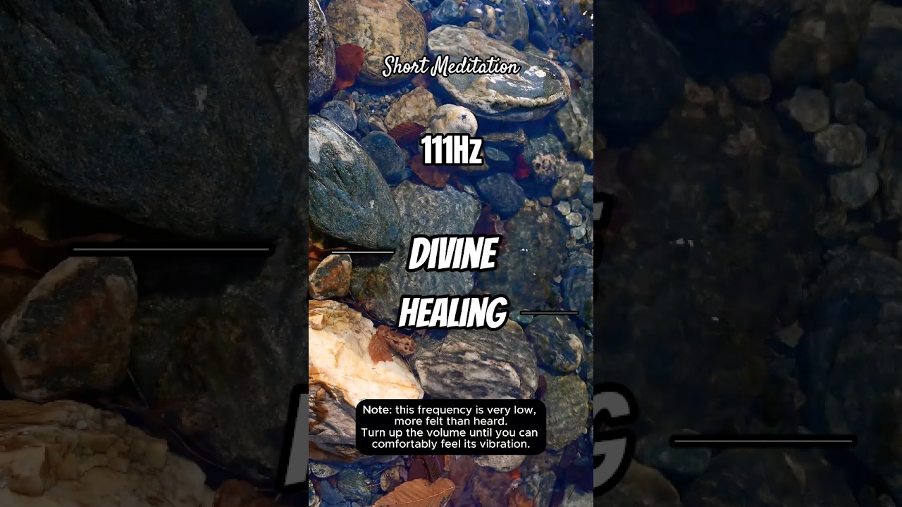 Watch 111Hz Frequency | Deep Celular Healing in 10 Seconds (Volume Up) #shorts on YouTube Watch 111Hz Frequency | Deep Celular Healing in 10 Seconds (Volume Up) #shorts on YouTube