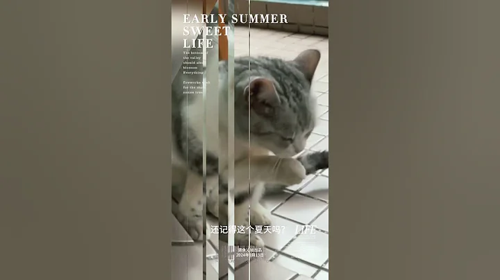 Watch the video about Do you still remember this summer?-The back garden of retired Qin-298 #cat #pets #funny #cute
