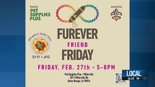 Several weekend adoption opportunities with Rescue, Rehome, Repeat