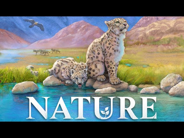 The Digital Version of Tabletop Game 'Nature' Arrives November 5th
