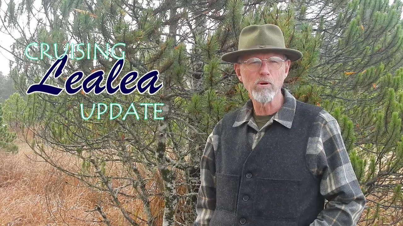 Real Time Update 10-25-2015