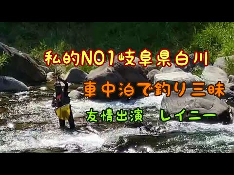 鮎釣り 愛犬つれて車中泊 岐阜県白川釣行 おざわさとし友釣りライフ Japan Xanh 鮎釣り 愛犬つれて車中泊 岐阜県白川釣行 おざわさとし友釣りライフ Japan Xanh