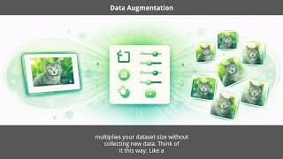 data-augmentation