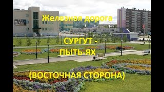 Железная дорога Сургут - Усть-Юган - Пыть-Ях (вид из окна поезда, восточная сторона) (СВЖД)