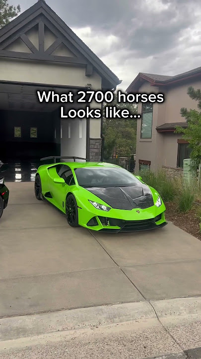 Strange looking horse… 🐎