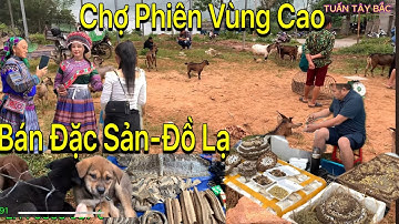 CHỢ PHIÊN CỐC LY - PHIÊN NÀY BÀ CON BÁN RẤT NHIỀU ĐẶC SẢN ,DƯỢC LIỆU QUÝ ,ĐỒ LẠ ...