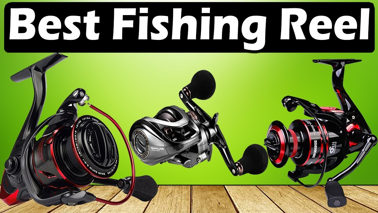TOP 5 Fishing Reels 2026 - Best Budget, Spinning & Baitcasting Reels ...