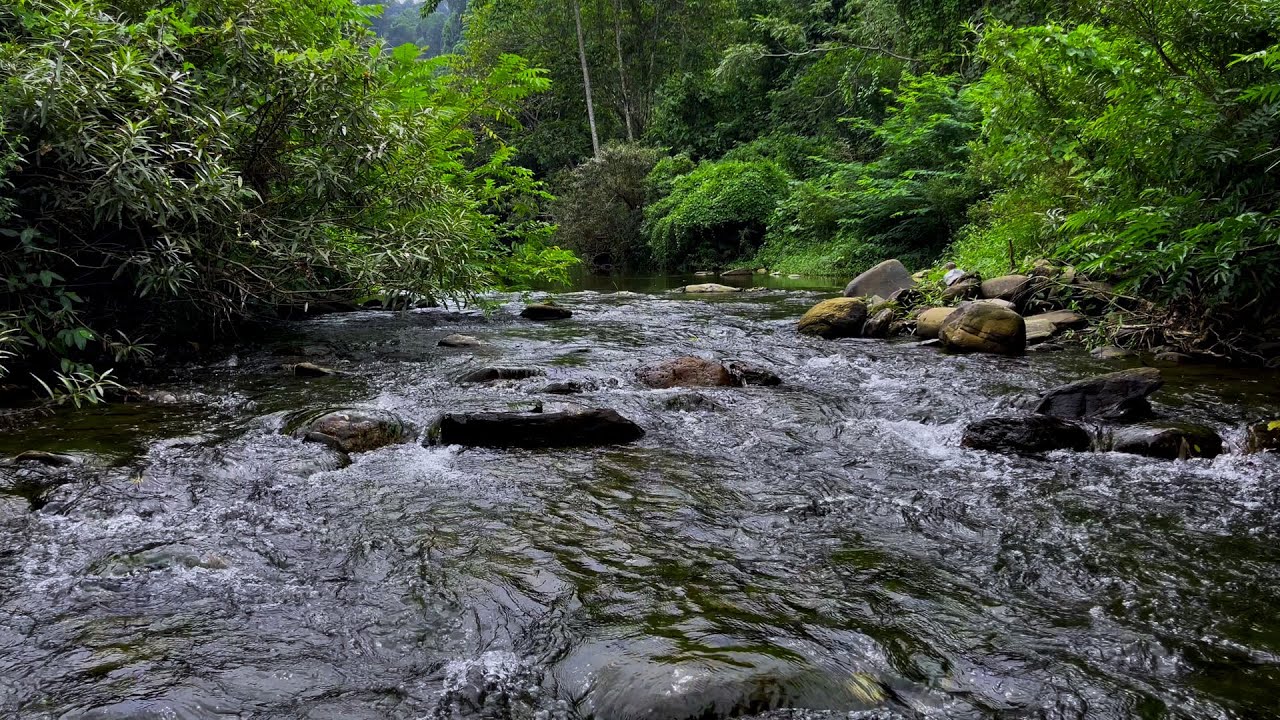 Goodbye Insomnia to Help You Sleep Better with Waterfall Sounds in ...