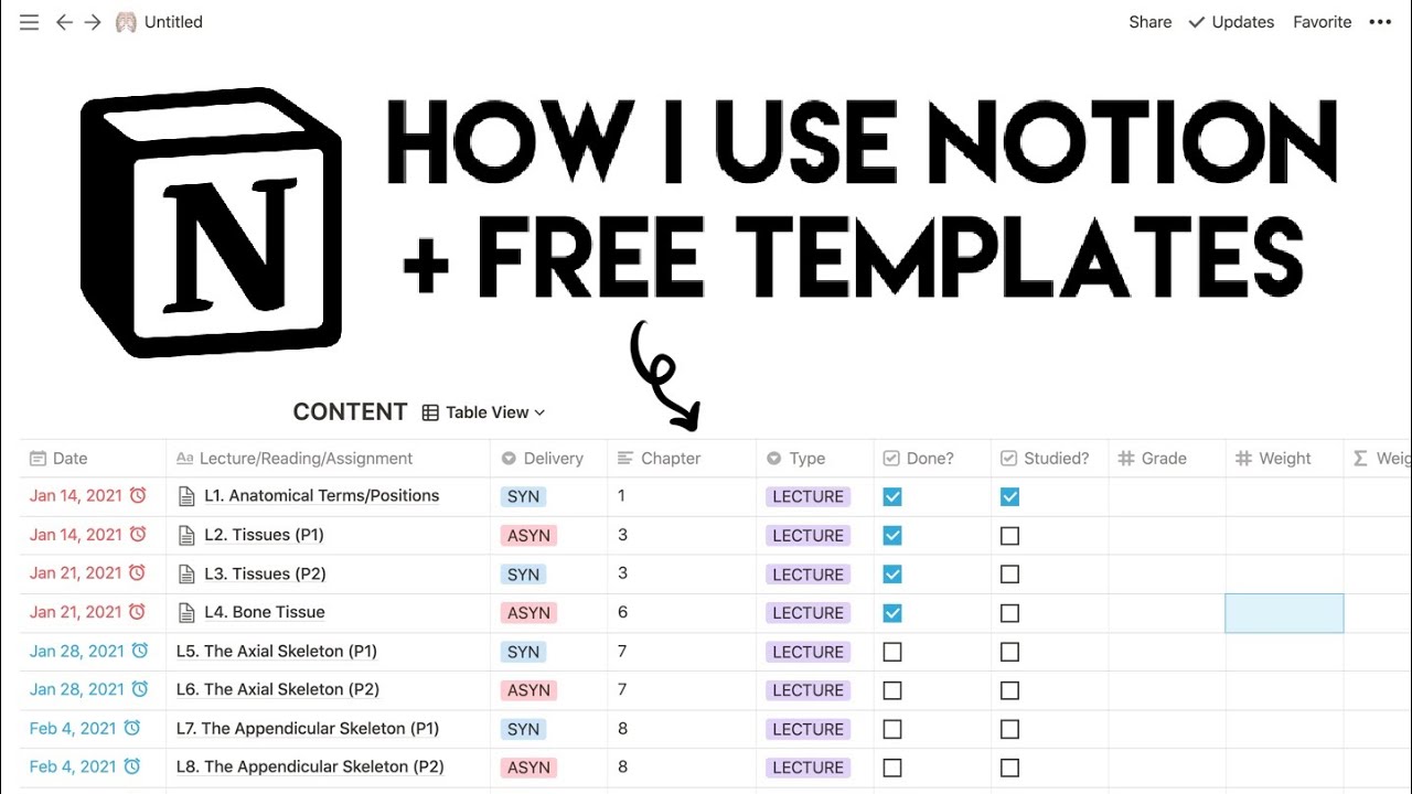 Preparing For A New UNI Semester With NOTION New FREE TEMPLATE 