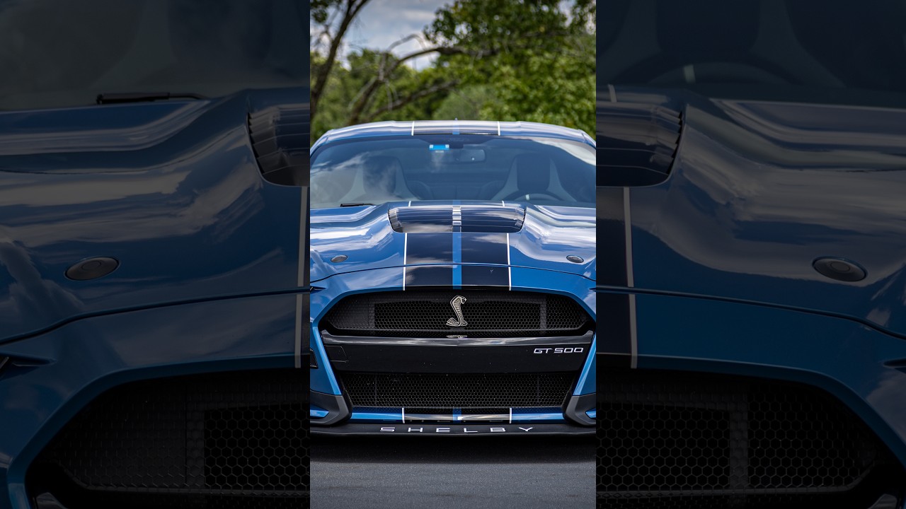 The Worst Thing about the GT500 is the Pitiful Fuel Range! #automobile #cartok #gt500 #shelby
