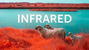 Modifying my Camera to see the World Differently - INFRARED PHOTOGRAPHY