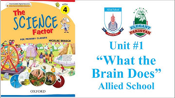 Class Four Science Unit #1 What the Brain Does. Allied School