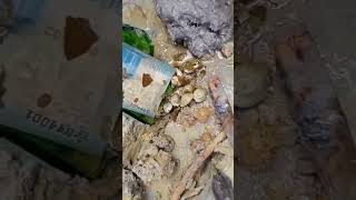 Sh0cking Discovery By Excavator Drver At Work