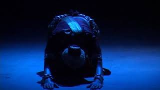 THE RAZA FOUNDATION - AVIRAAM 2012 (D)