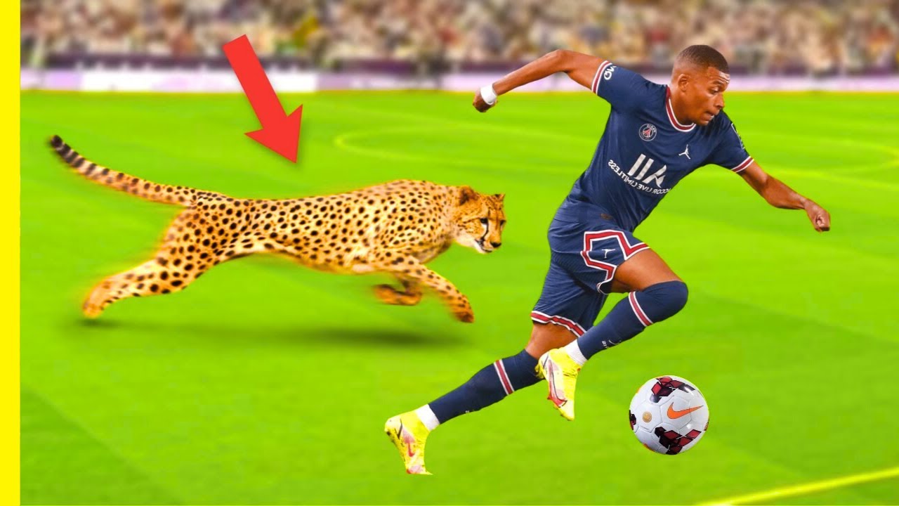 Schnellster Fußballer Der Welt Aller Zeiten Die 10 SCHNELLSTEN Fußballer der Welt ⚡️🌍 - YouTube