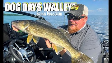 Tips for Walleye Success During the Dog Days of Summer