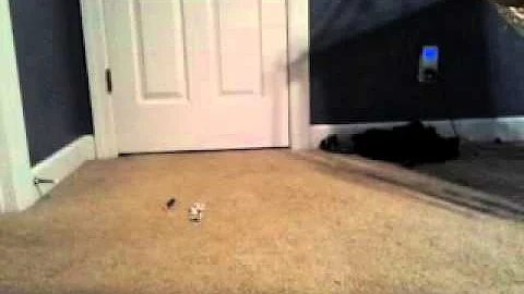 Nerf reatleater