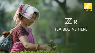 The Journey Behind Every Sip | Shot on Nikon ZR