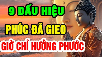 9 Dấu Hiệu Cho Thấy Bạn Đã Tích Lũy Phúc Đức Từ Kiếp Trước, Kiếp Này Hưởng Trọn Lộc Trời Ban