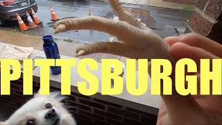Episode 9: Pittsburgh