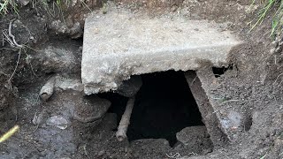 Mystery pit and lost 1880’s house foundation | The Glass Digtective  #privydigging #harrydigs